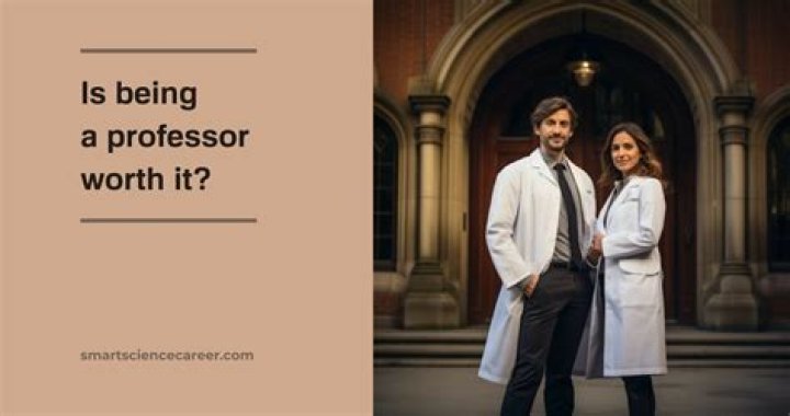 What is a extraordinary professor Wikipedia?