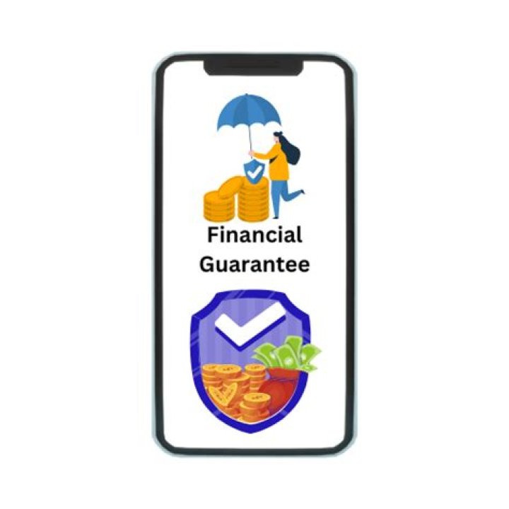 What is a financial guarantee company?