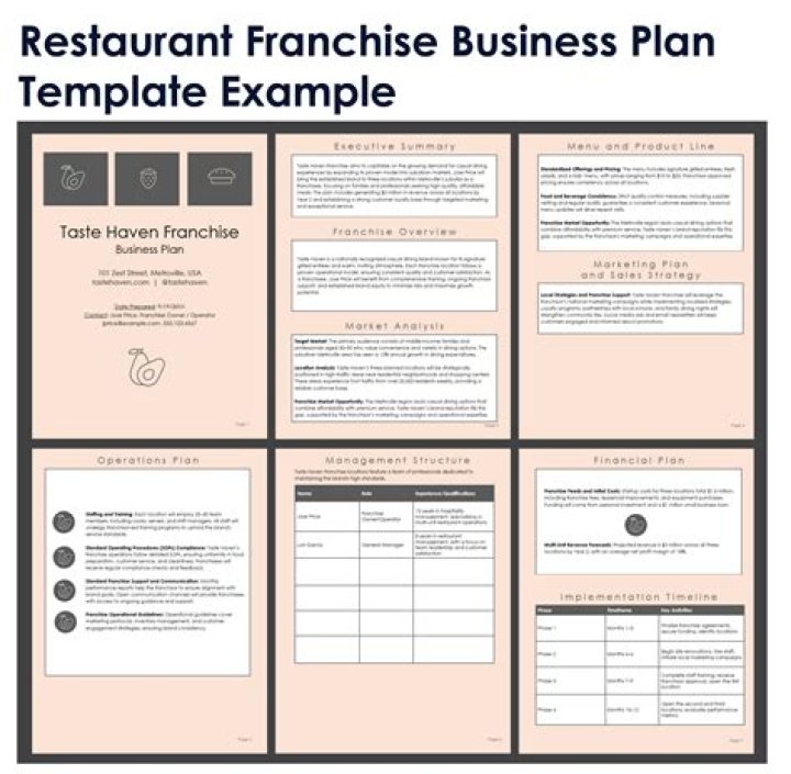 What is a franchise and give an example?