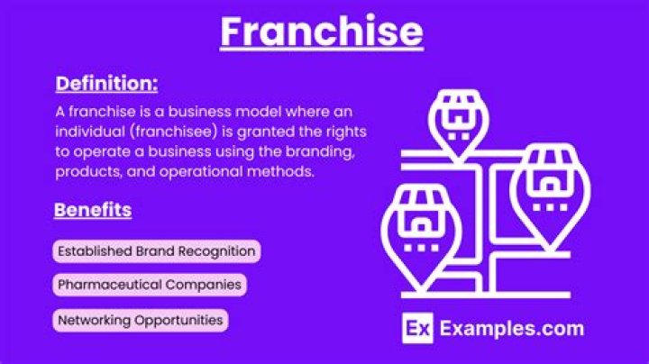 What is a franchise simple definition?