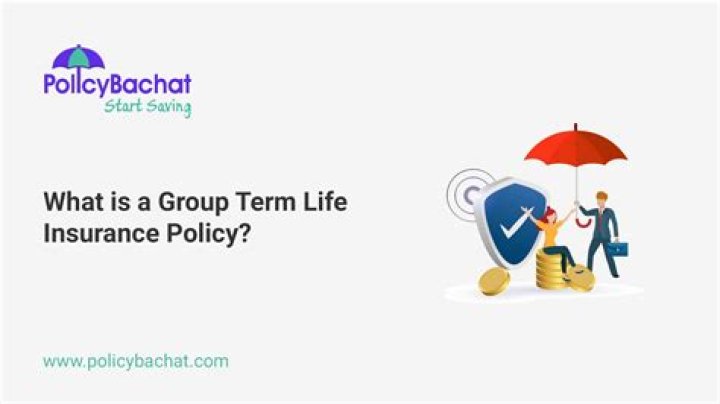 What is a group term life insurance policy?