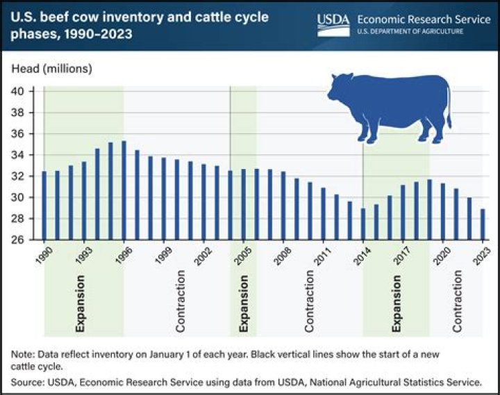 What is a major impact of the beef industry?