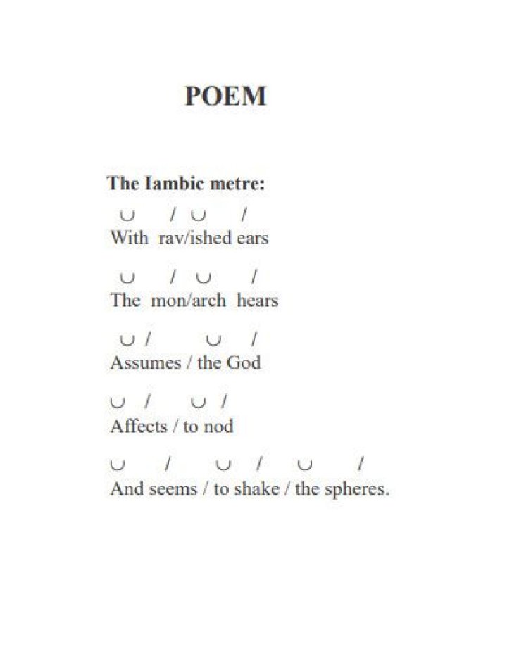 What is a meter in poetry example?