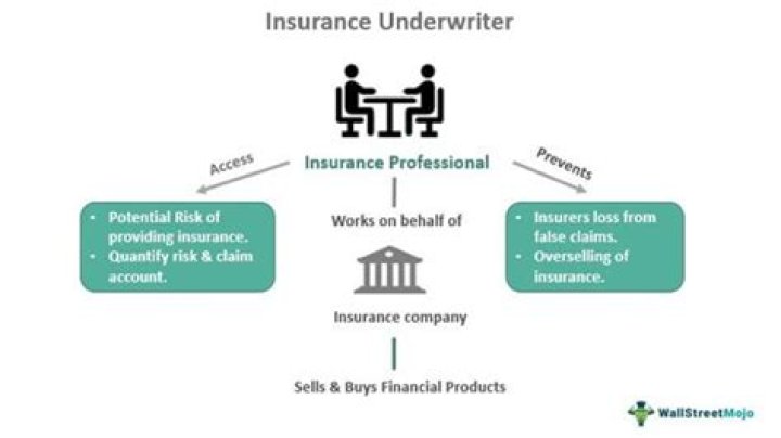 What is a motor insurance underwriter?