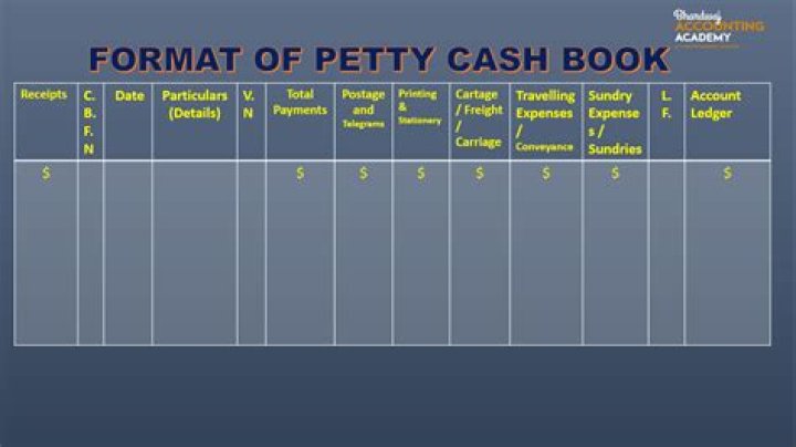 What is a petty cash book Class 11?
