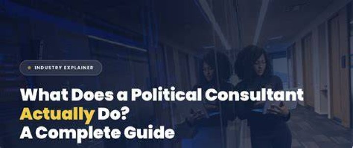 What is a political consultant called?