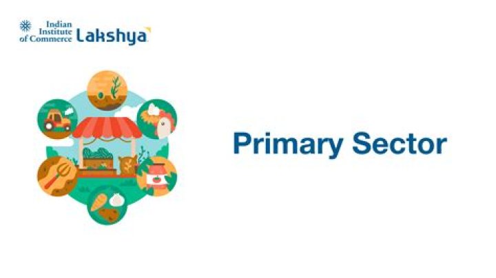What is a private sector in tourism?