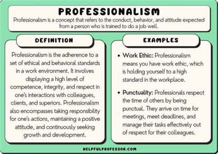 What is a professional component?
