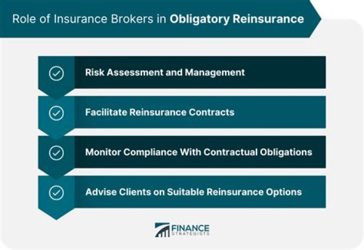 What is a reinsurer broker?