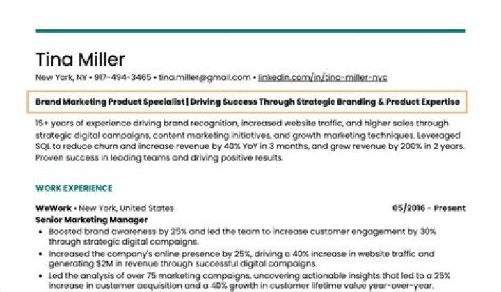 What is a resume title example?