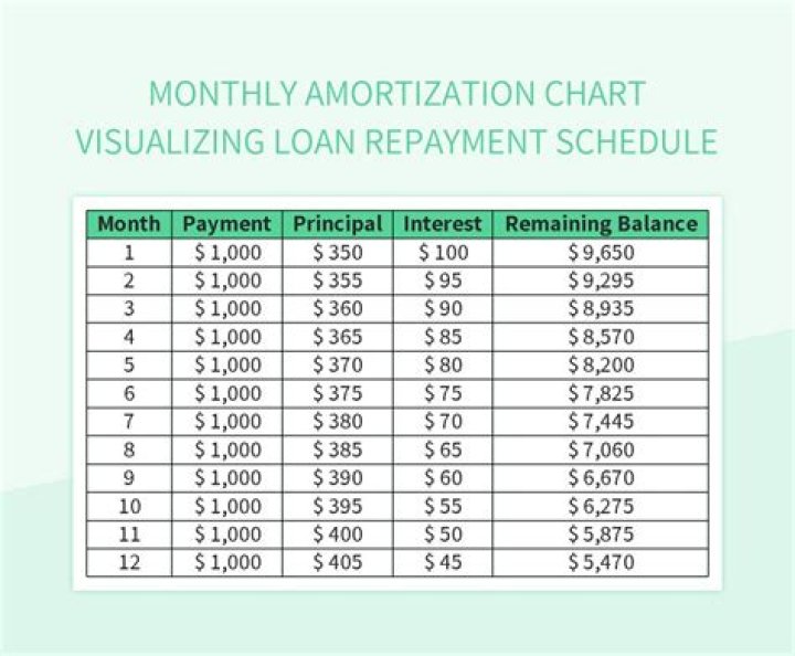 What is a revolver loan?