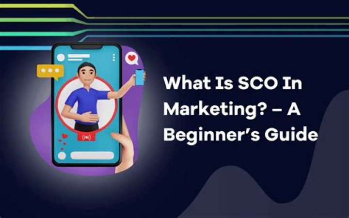 What is a SCO in business?