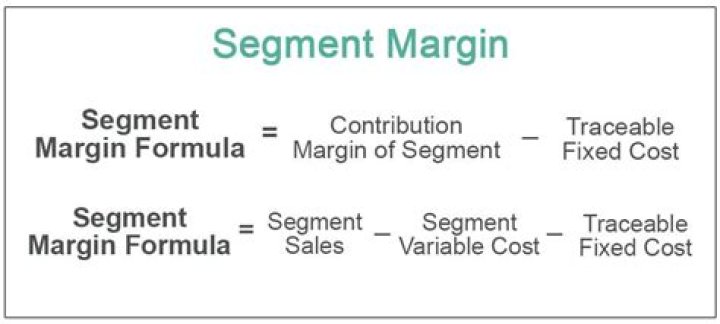 What is a segment margin?