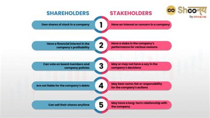 What is a shareholder basis statement?
