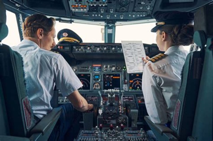 What is a ship pilot called?
