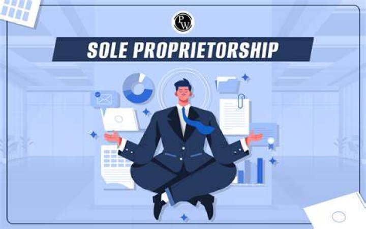 What is a sole shareholder company?