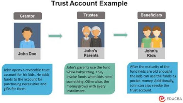 What is a trustee on an investment account?