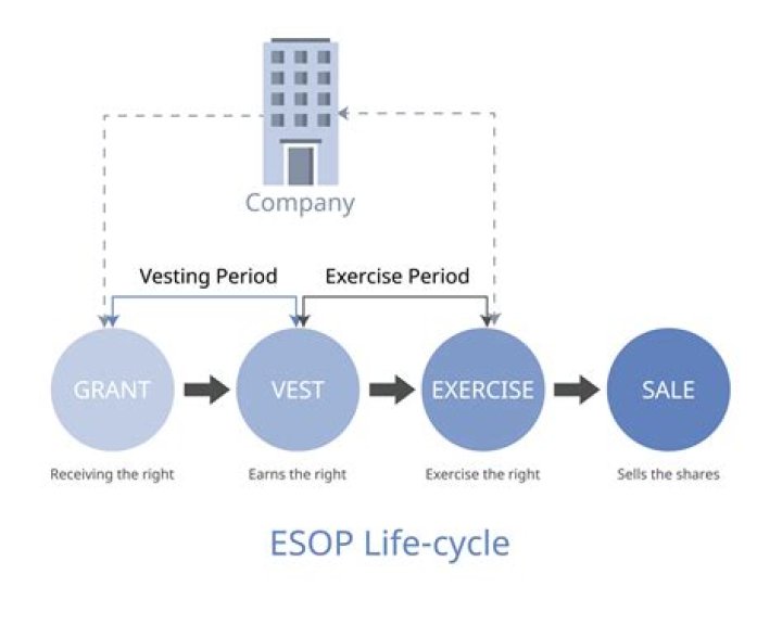 What is a vested employee stock plan?