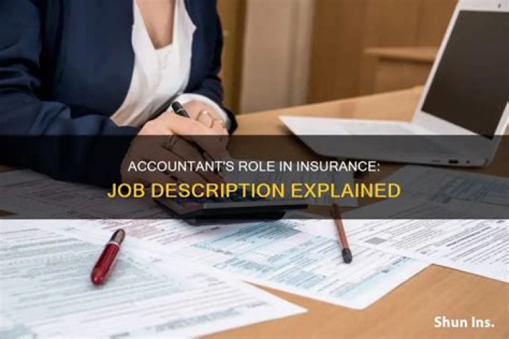 What is accountant job description?