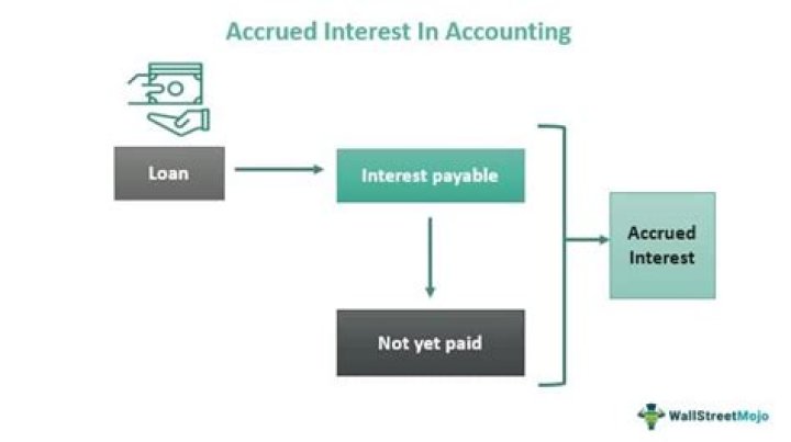What is accrued interest on investment?
