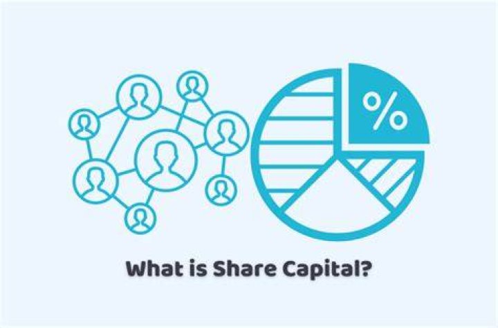 What is alloted share capital?