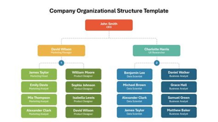 What is an example of a non business organization?