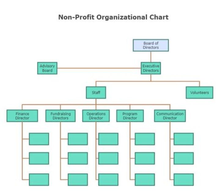 What is an example of a not-for-profit organization?