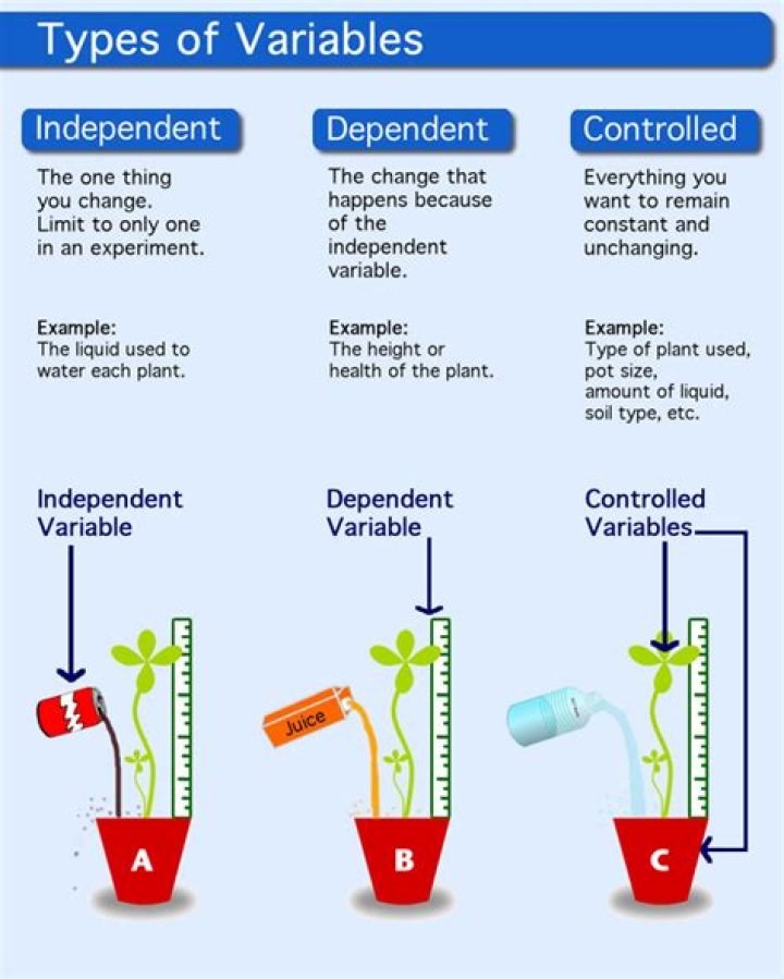 What is an example of an experimental variable?
