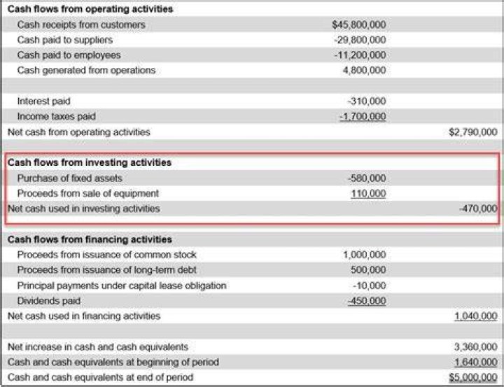 What is an example of cash flow from investing activities?