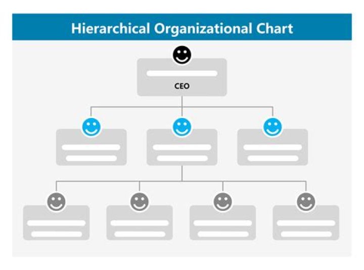 What is an example of hierarchical organization?