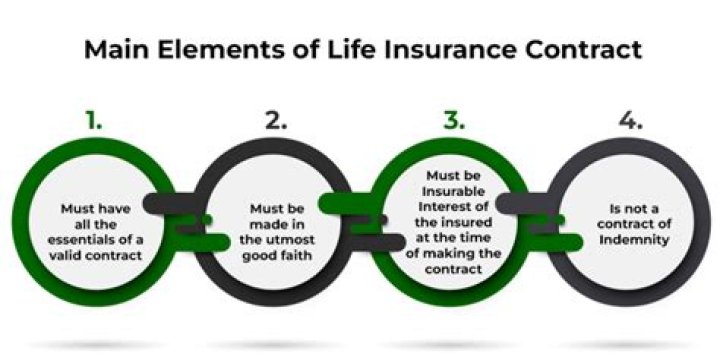 What is an example of liquidity in a life insurance contract?