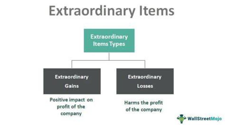 What is an extraordinary item on the income statement?