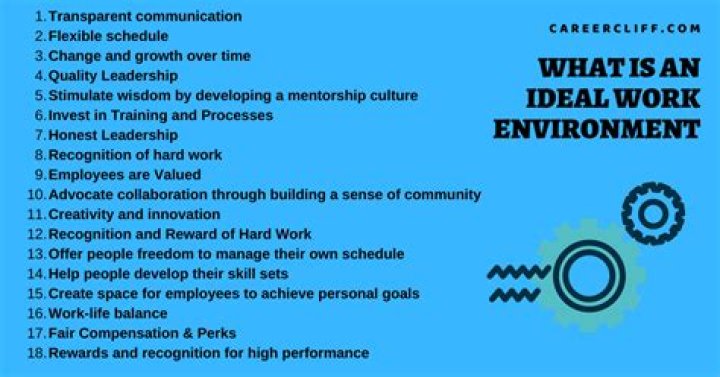 What is an ideal working environment?