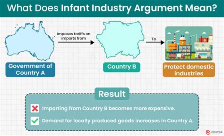 What is an infant industry example?