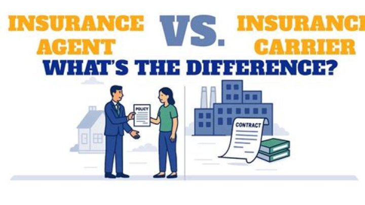 What is an insurance carrier vs agent?