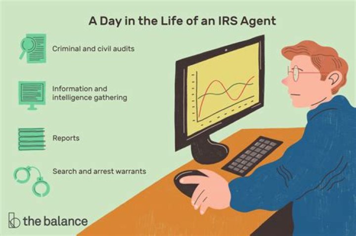 What is an IRS agent called?