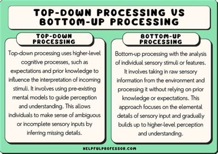 What is bottom-up top-down processing?
