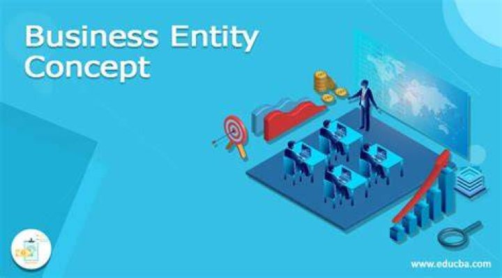 What is business entity concept?