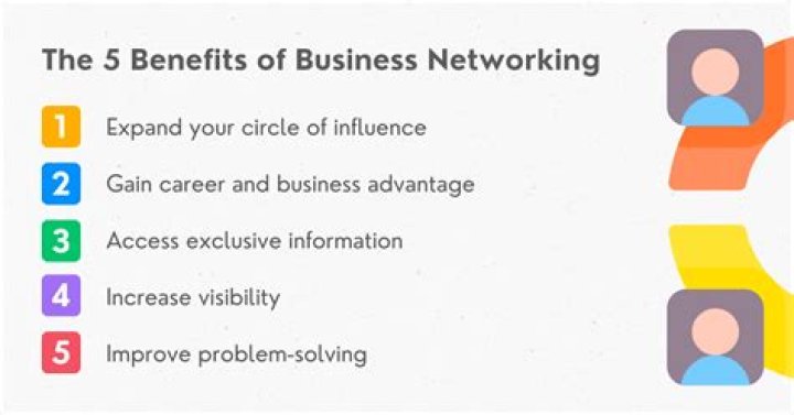 What is business networking and example?