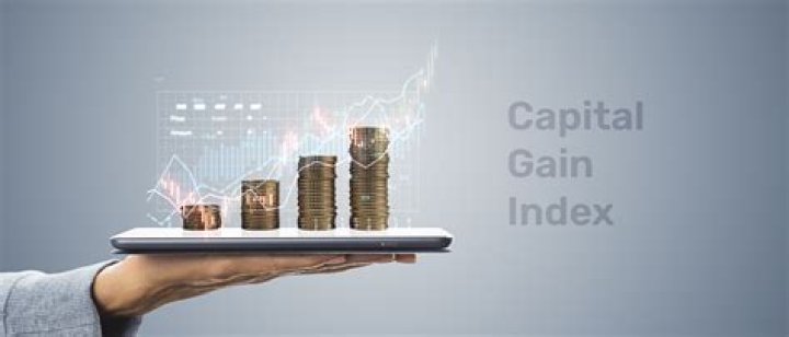 What is capital gain index?