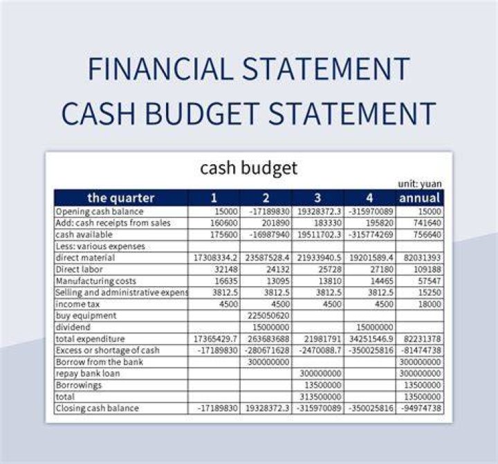 What is cash budget statement?