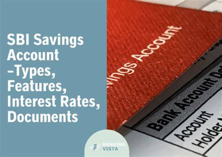 What is cash credit account type in SBI?