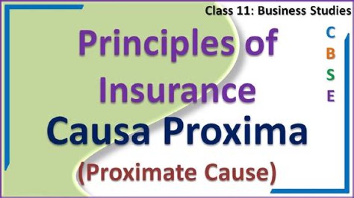 What is Causa Proxima in insurance?