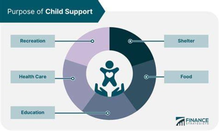 What is child support used for in California?