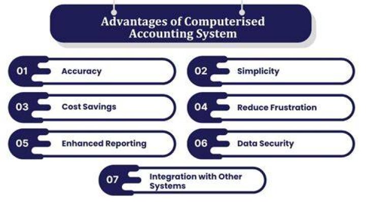 What is Computerised accounting system advantages and disadvantages?