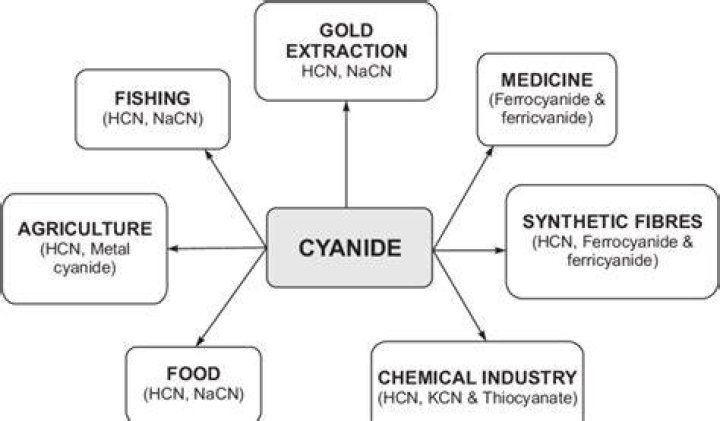 What is cyanide used for in industry?