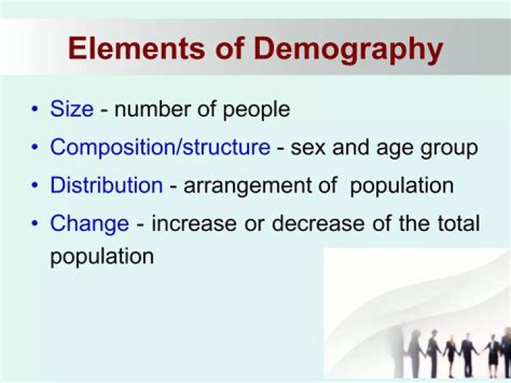 What is demography sentence?