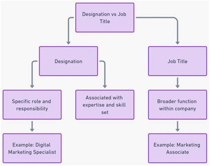 What is designation in work experience?