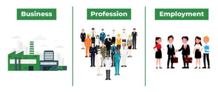 What is employment and profession?