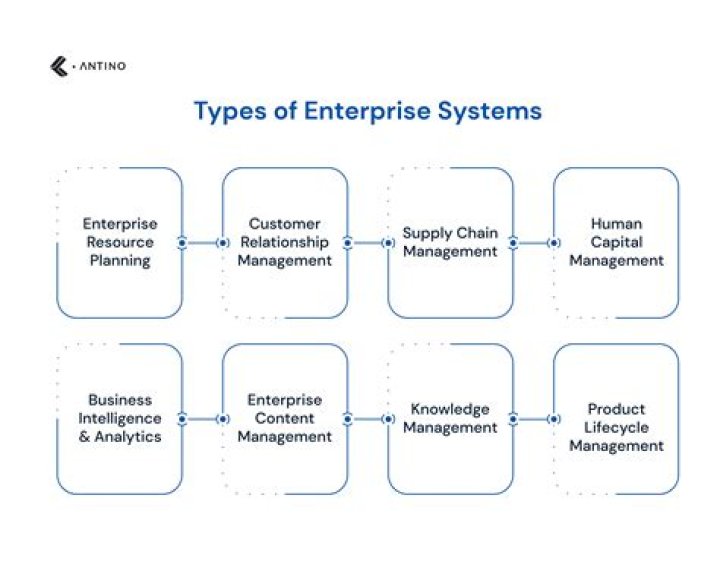 What is enterprise systems development?